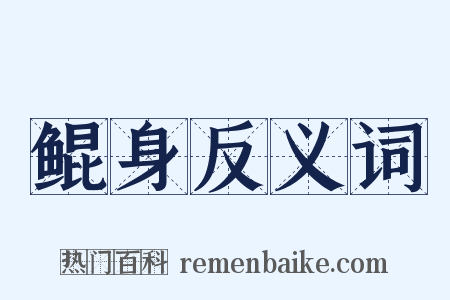 鲲身反义词是什么意思的图片